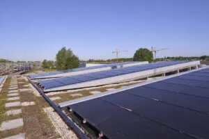 Groendak met daklichten