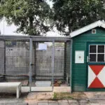 Architectuurstudenten ontwerpen kippenverblijf