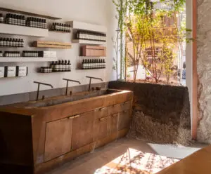 Three terrariums at Aesop