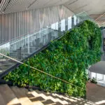 Levende plantenwanden in Amsterdams Science Park