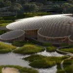 Mecanoo en Meng winnen internationale ontwerpwedstrijd met ‘Wetenschappelijk Bos’