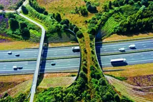 Ecoduct De Borkeld on the highway A1 in Rijssen the Netherlands