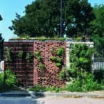 Boek: Stadsnatuur bouwen