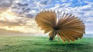  Hanneke van den Borne & Maurice Reijm van de Pade(n)stul