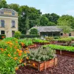 Stichting Kastelen, historische Buitenplaatsen en Landgoederen (sKBL) organiseert op donderdag 5 september 2024 het tweede Europese historische moestuinensymposium.