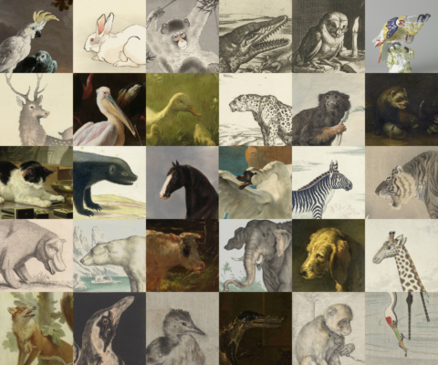 Collectie Online Rijksmuseum: zoekopdracht dieren.