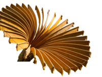 Na inspirerende pitchdagen zijn de 20 deelnemers voor Folly Art Norg 2025 geselecteerd.