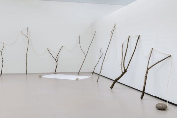 In de installatie Continuous existence–A (1977/2025) staan grote takken tegen de muur opgesteld