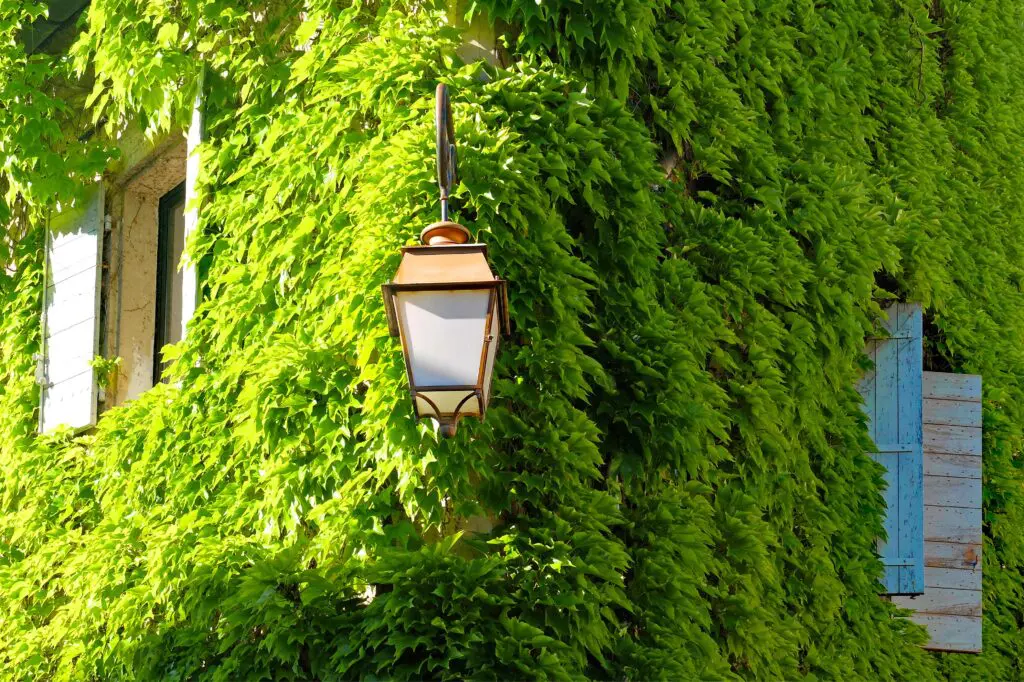 Binnen de KIC-call ‘Klimaatbestendige gebouwen met de natuur als inspiratie’ kende de Nederlandse Organisatie voor Wetenschappelijk Onderzoek (NWO) aan vier projecten financiering toe. 