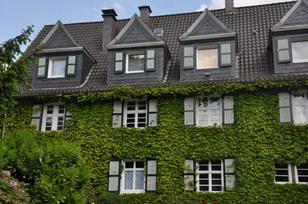 Binnen de KIC-call ‘Klimaatbestendige gebouwen met de natuur als inspiratie’ kende de Nederlandse Organisatie voor Wetenschappelijk Onderzoek (NWO) aan vier projecten financiering toe. 