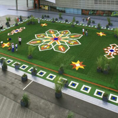 The Flying Grass Carpet terug in Rotterdam