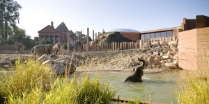 Olifantenverblijf Zoo Kopenhagen, ontwerp
Foster + Partners • Foto Richard Davies.