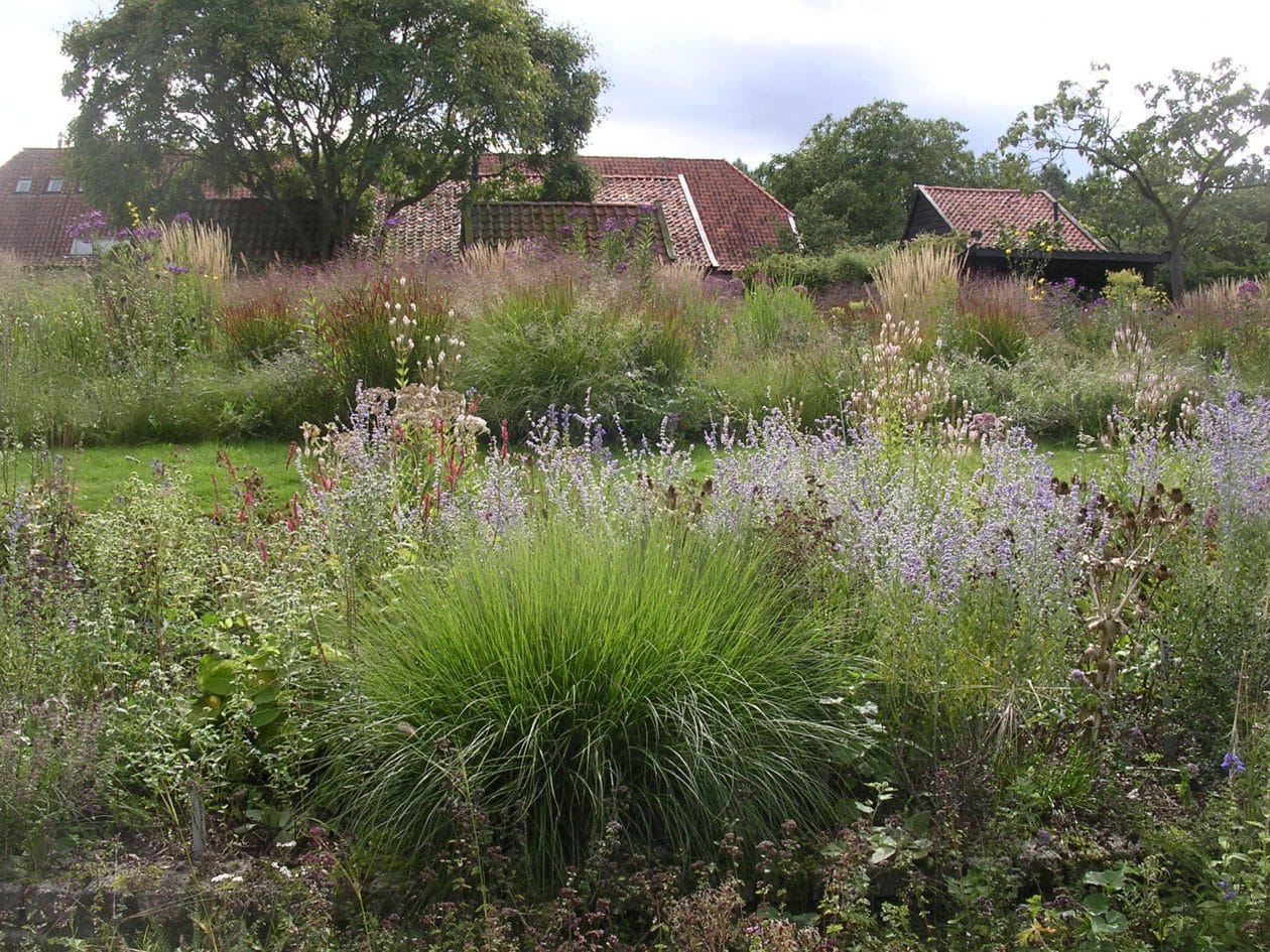 Paradijs van Piet Oudolf - Architectuur.nl