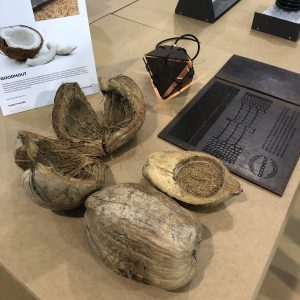 Sylvia ten Houten is oprichter van Goodhout, 100% coconut biocomposite. Zij ontwikkelde een procedé dat, zonder toevoeging van kunstmatige bindmiddelen, van kokosvezel plaatmateriaal maakt zo hard als hardhout. 