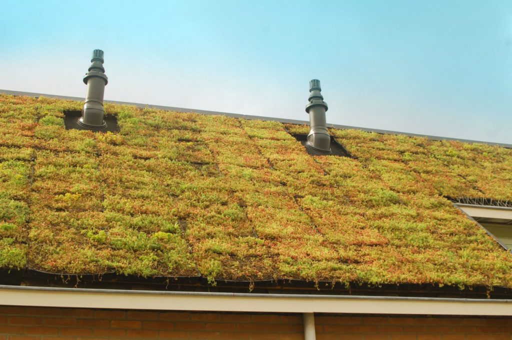 Kennis en inzicht groenblauwe daken - Architectuur.nl