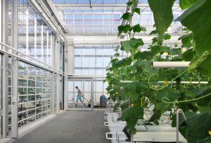 In het gebouw bevinden zich hoogtechnologische onderzoeksfaciliteiten voor de teelt van vrucht- en bladgroente 