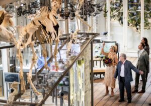 AMSTERDAM - Koningin Maxima tijdens de opening van het Amsterdamse ARTIS-Groote Museum. Het Groote Museum is 75 jaar gesloten geweest voor het publiek en gaat open met een nieuwe invulling namelijk de verbinding van de mens met al het leven op aarde, over de samenhang tussen mens, dier, plant, microbe en de aarde zelf. ANP REMKO DE WAAL