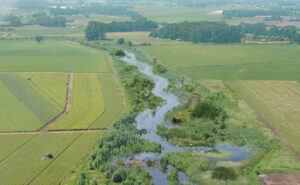 Limburg in de haarvasten van de delta