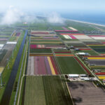 Boek: Dutch Landscape